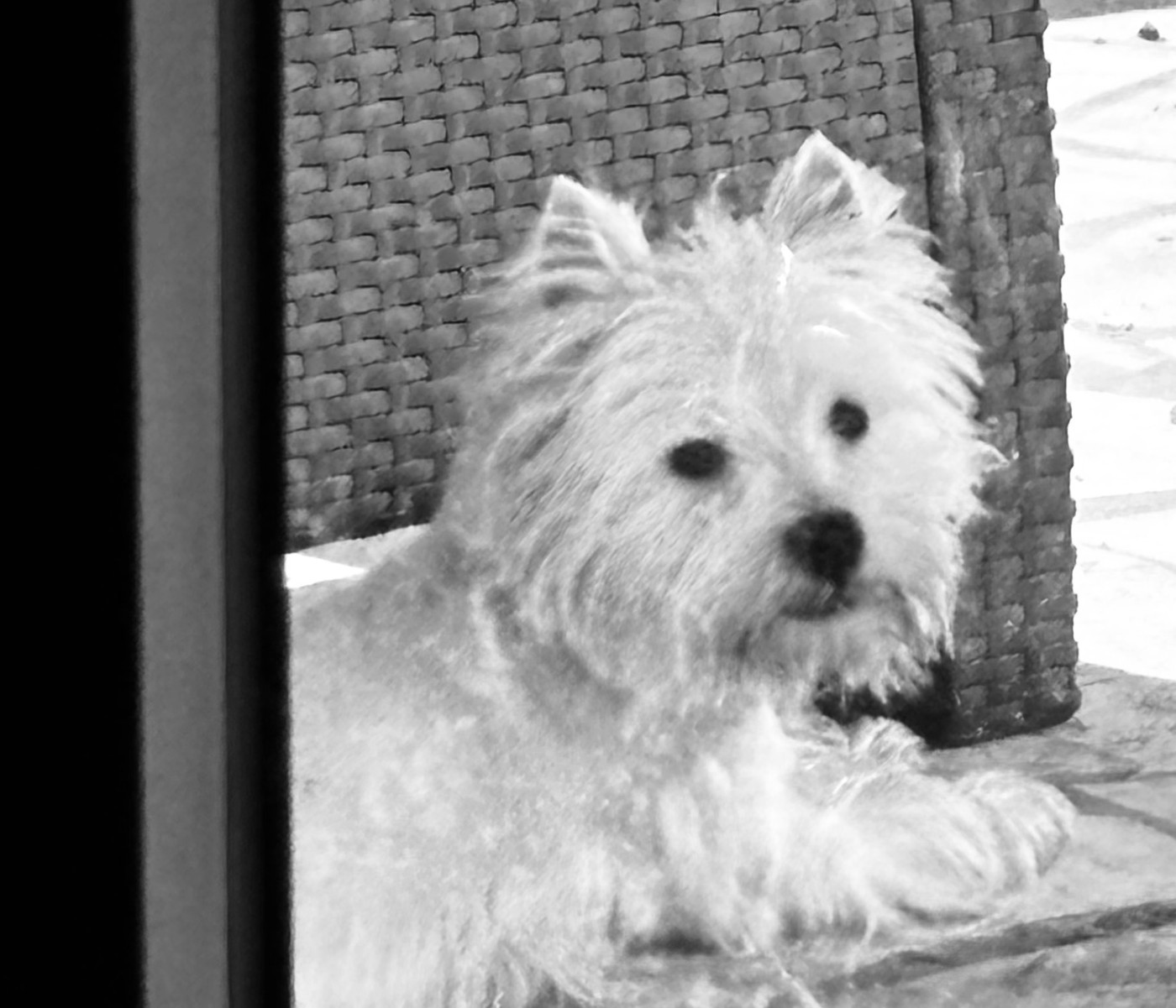 T'kinai  des vallées de la Rocha